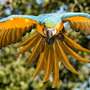 Vogelpark soll noch schöner werden - Der Vogelpark Heiligenkirchen soll  noch schöner werden und seine Besucher zu weiterem Verweilen einladen. Für seine Zukunftsplanung sucht Geschäftsführer Friedrich Wilhelm Eckstein Rat und Begleitung durch Fachleute der Region und solcher, die es werden wollen. Mit Professor Peter Hagemann und zehn Studentinnen und Studenten der Fachhochschule Lippe und Höxter, Fachbereich Architektur und Innenarchitektur, hat er eine langfristige Kooperation vereinbart.