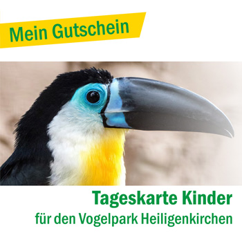 Jahreskarte Kinder