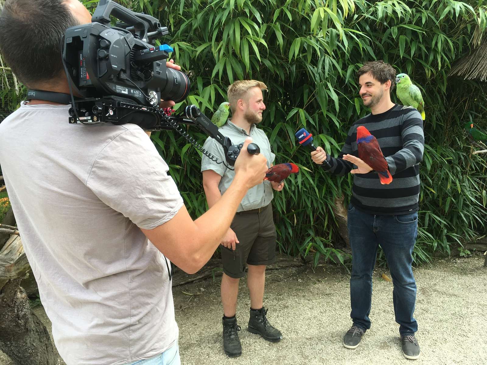 Die WDR Lokalzeit OWL und die Lippische Landeszeitung waren zu Gast im Vogelpark - Vogelpark Mitarbeiter Marc-Philip Eckstein im Gespräch mit Heimaturlauber Christian Saftig vom WDR - Heimaturlaub in OWL und der Alltag eines Tierpflegers waren Thema im Familienpark zum Anfassen