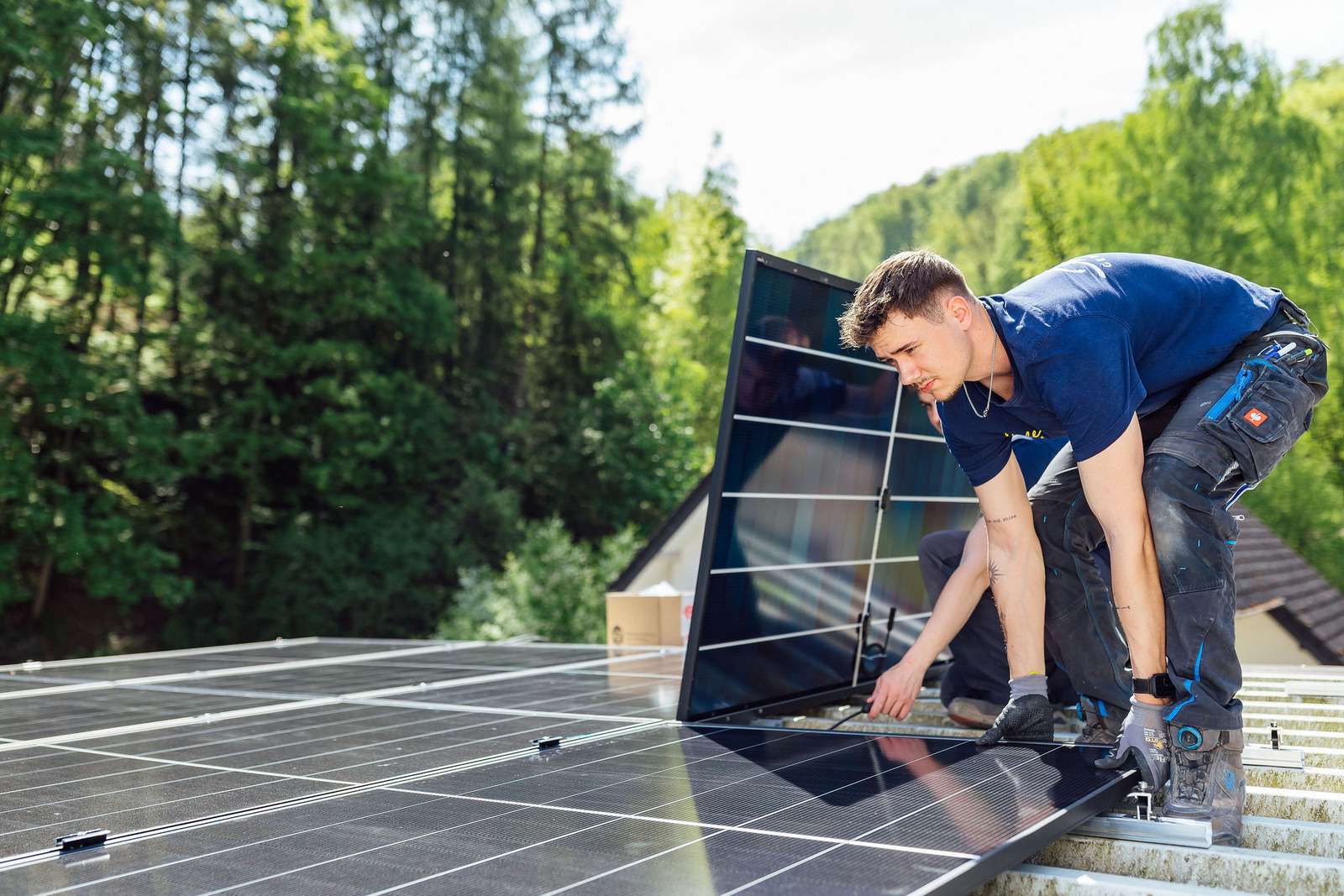 Zwei Photovoltaikanlagen für den Vogelpark