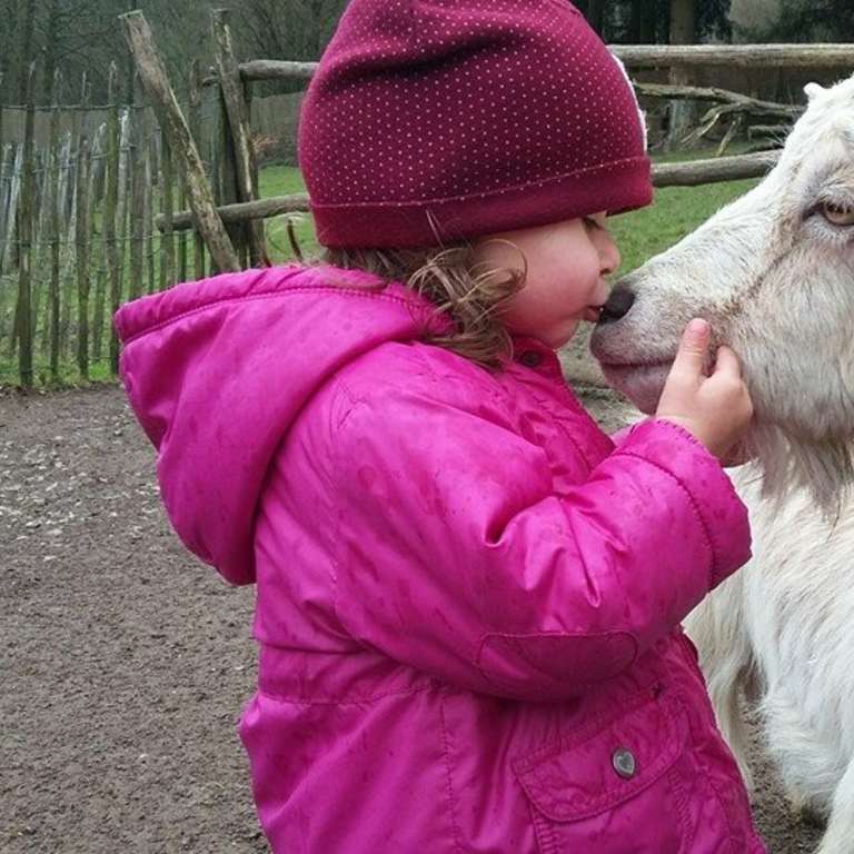 Der Vogelpark Heiligenkirchen wünscht allen frohe Ostern! - Foto: Vogelpark Heiligenkirchen - Sophie weiß bei wem sie sich unter anderem bedanken muss – „Heidi“ ist eine der stolzen Mütter unserer insgesamt sieben Ziegenjungen!