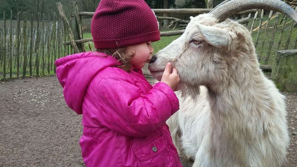 Der Vogelpark Heiligenkirchen wünscht allen frohe Ostern! - Foto: Vogelpark Heiligenkirchen - Sophie weiß bei wem sie sich unter anderem bedanken muss – „Heidi“ ist eine der stolzen Mütter unserer insgesamt sieben Ziegenjungen!