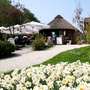 Frühlingserwachen im Vogelpark - Blumen im Vogelpark
Frühling im Vogelpark
Papageienwiese
Tulpen
Narzissen - Lassen Sie sich verzaubern von unserem Blumenmeer.