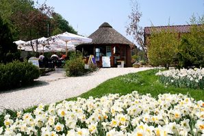 Blumen im Vogelpark