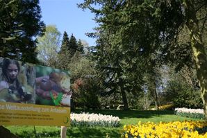 Frühling im Vogelpark