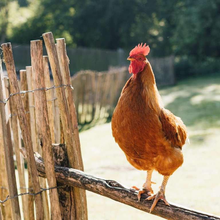 Wir befinden uns in der Winterpause! - Foto: V. Will - Wir danken allen Besucher für die Saison 2025