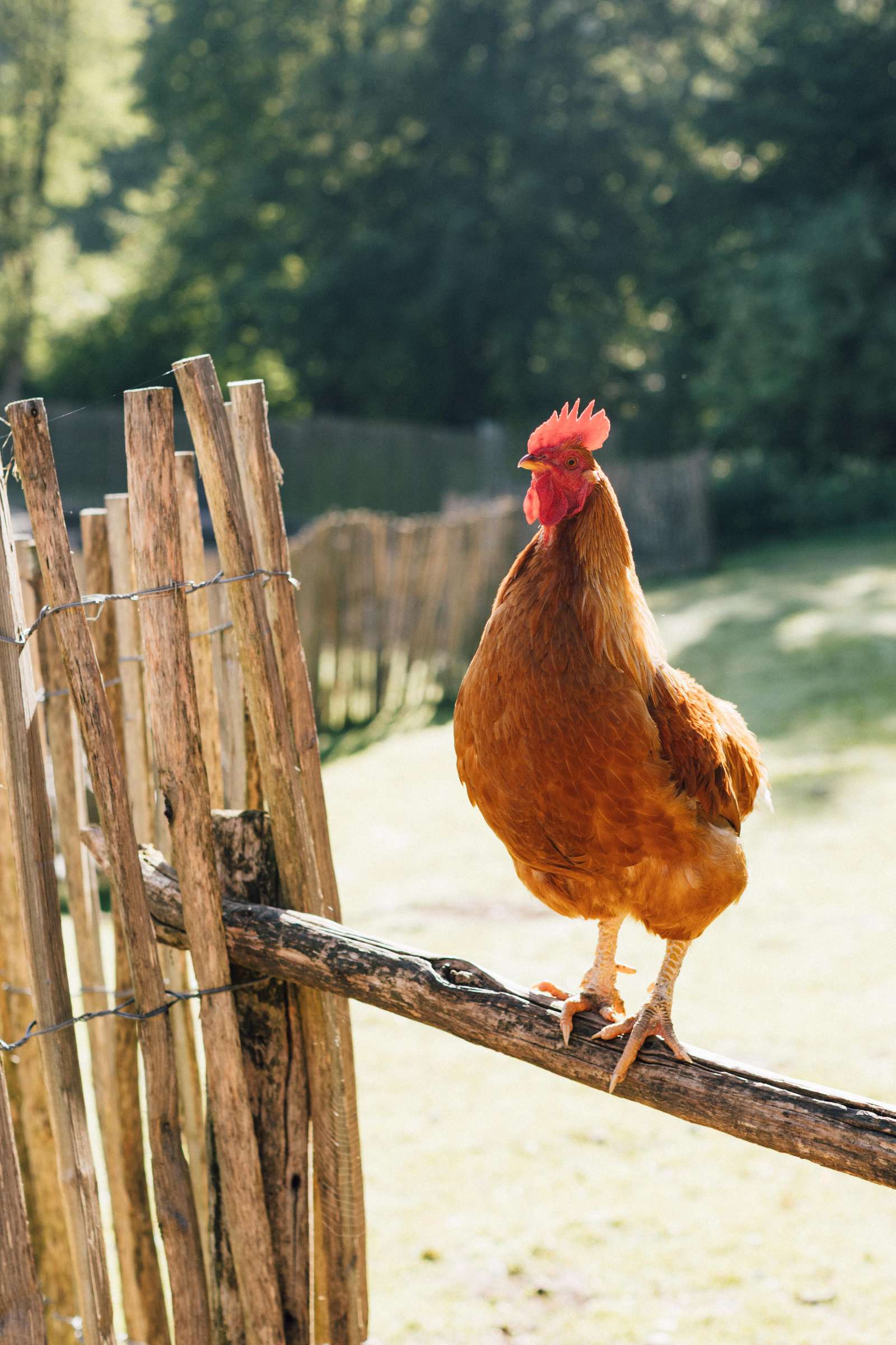 Wir befinden uns in der Winterpause! - Foto: V. Will - Wir danken allen Besucher für die Saison 2025