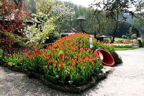 Frühling im Vogelpark