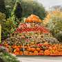 Herbstzeit im Vogelpark ab dem 17.10.