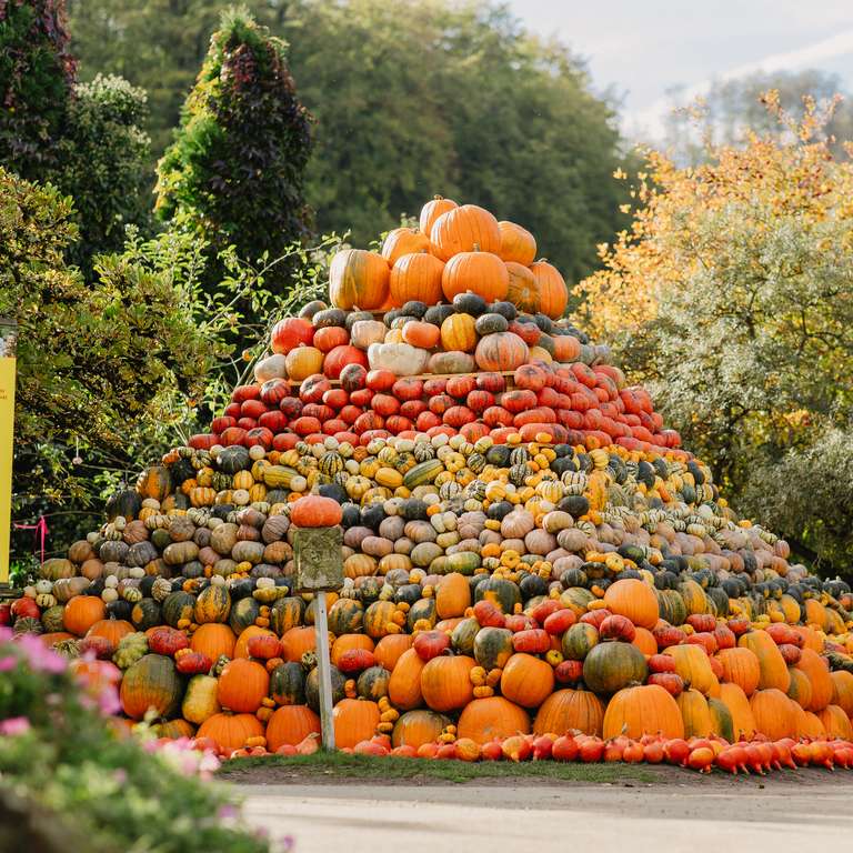 Herbstzeit im Vogelpark ab dem 17.10.