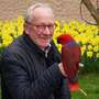 Ein Vogelpark-Story-Interview #2: „Vater der begehbaren Wellensittich-Voliere“ - Vogelpark-Direktor Friedrich-Wilhelm Eckstein zusammen mit einer Edelpapageien-Dame Foto: Vogelpark Heiligenkirchen - Einst musste er den Fußball aufgeben, um im Vogelpark seines Vaters mitzuhelfen. Später übernahm er den Betrieb in Heiligenkirchen aus Leidenschaft und wurde zum anerkannten Papageien-Experten. Im Vogelpark-Story-Interview erzählt Vogelpark-Direktor Friedrich-Wilhelm Eckstein (62) unter anderem, welche Vorteile der Beruf des Zahntechnikers für die Leitung eines Tierparks hat.