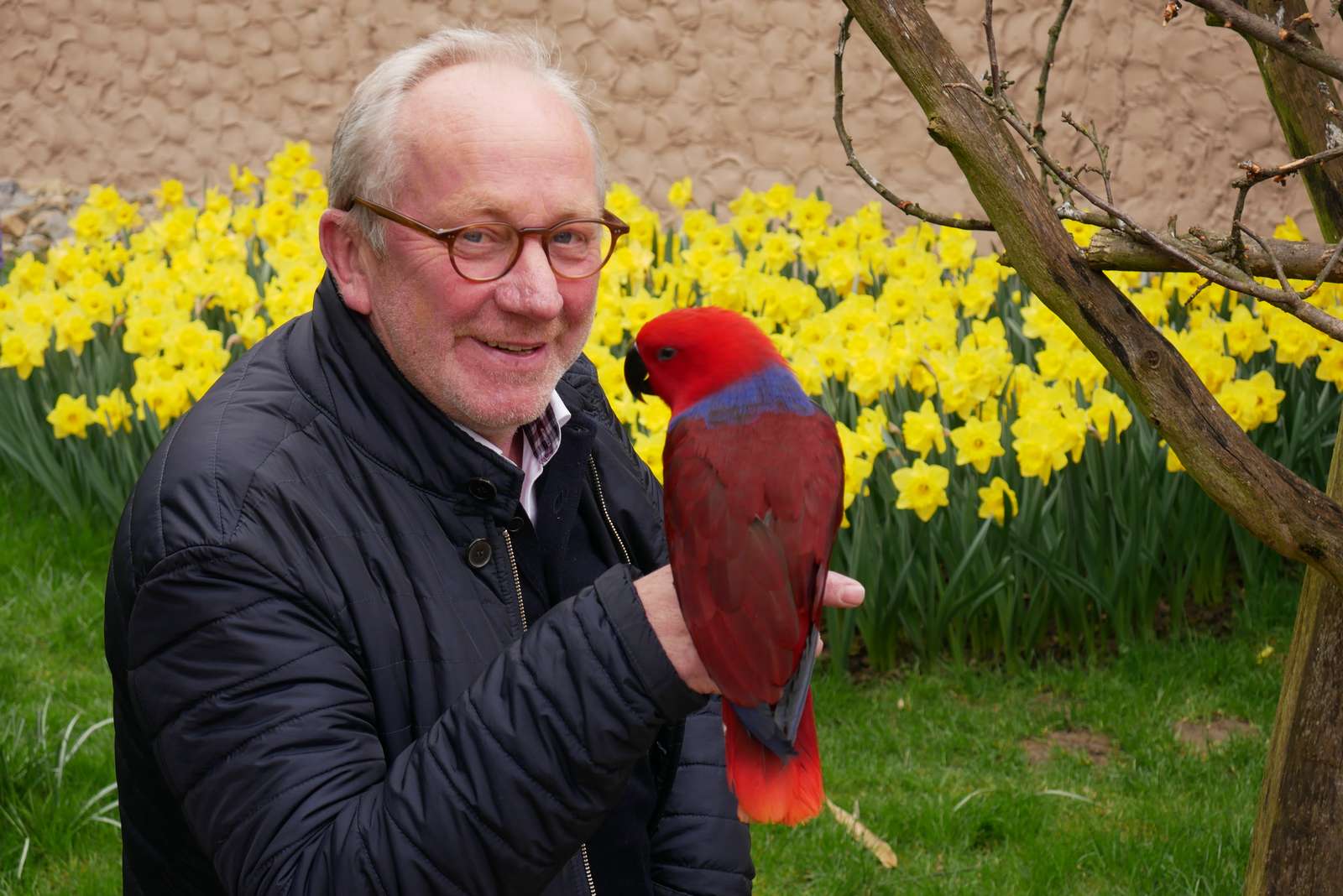 Ein Vogelpark-Story-Interview #2: „Vater der begehbaren Wellensittich-Voliere“ - Vogelpark-Direktor Friedrich-Wilhelm Eckstein zusammen mit einer Edelpapageien-Dame Foto: Vogelpark Heiligenkirchen - Einst musste er den Fußball aufgeben, um im Vogelpark seines Vaters mitzuhelfen. Später übernahm er den Betrieb in Heiligenkirchen aus Leidenschaft und wurde zum anerkannten Papageien-Experten. Im Vogelpark-Story-Interview erzählt Vogelpark-Direktor Friedrich-Wilhelm Eckstein (62) unter anderem, welche Vorteile der Beruf des Zahntechnikers für die Leitung eines Tierparks hat.