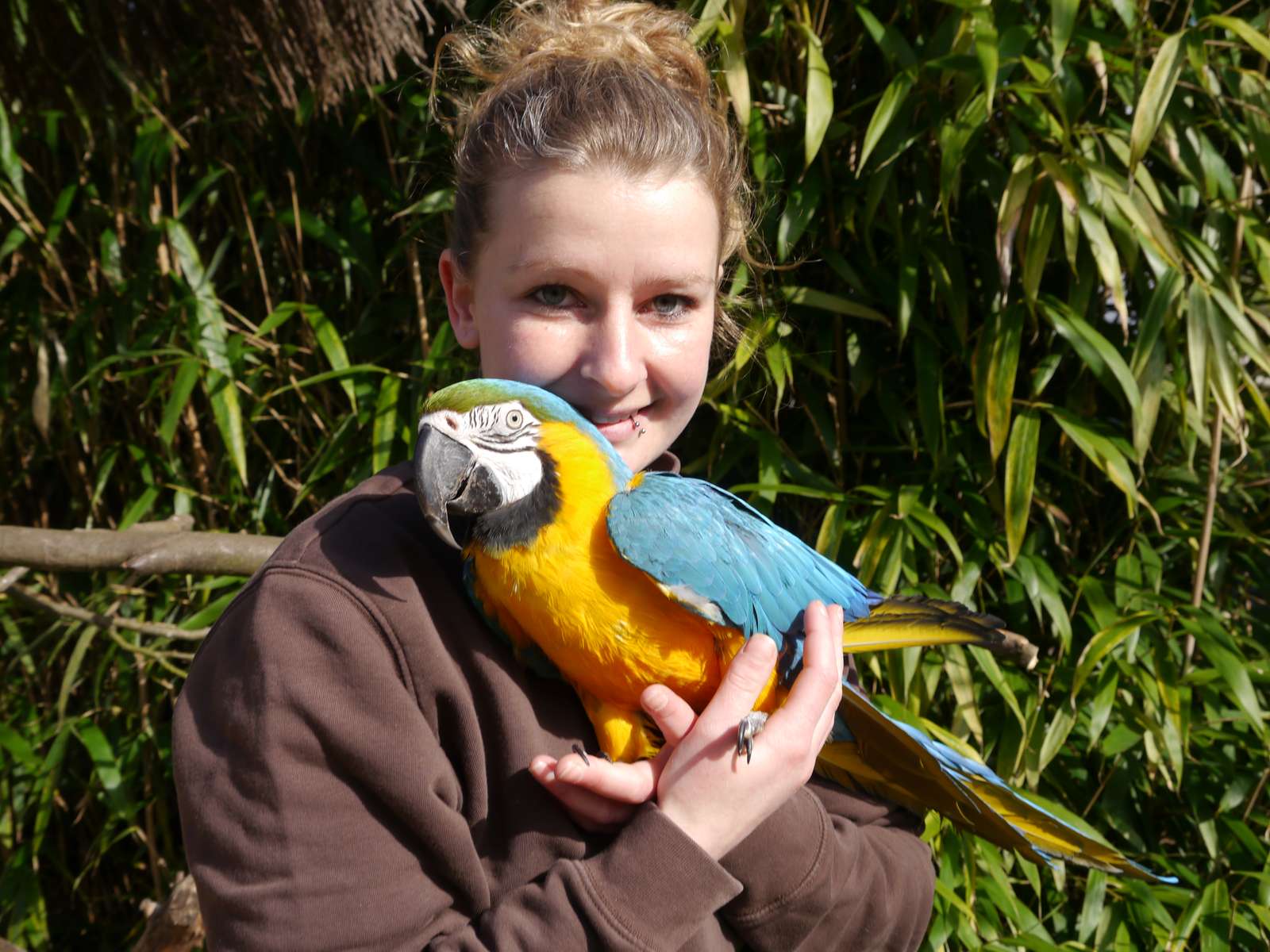 50 Jahre auf Tuchfühlung mit den Tieren - Tierpflegerin Kristine Böhm und Gelbbrustara Paula freuen sich auf die Jubiläumssaison. - Vogelpark Heiligenkirchen öffnet am 23. März 