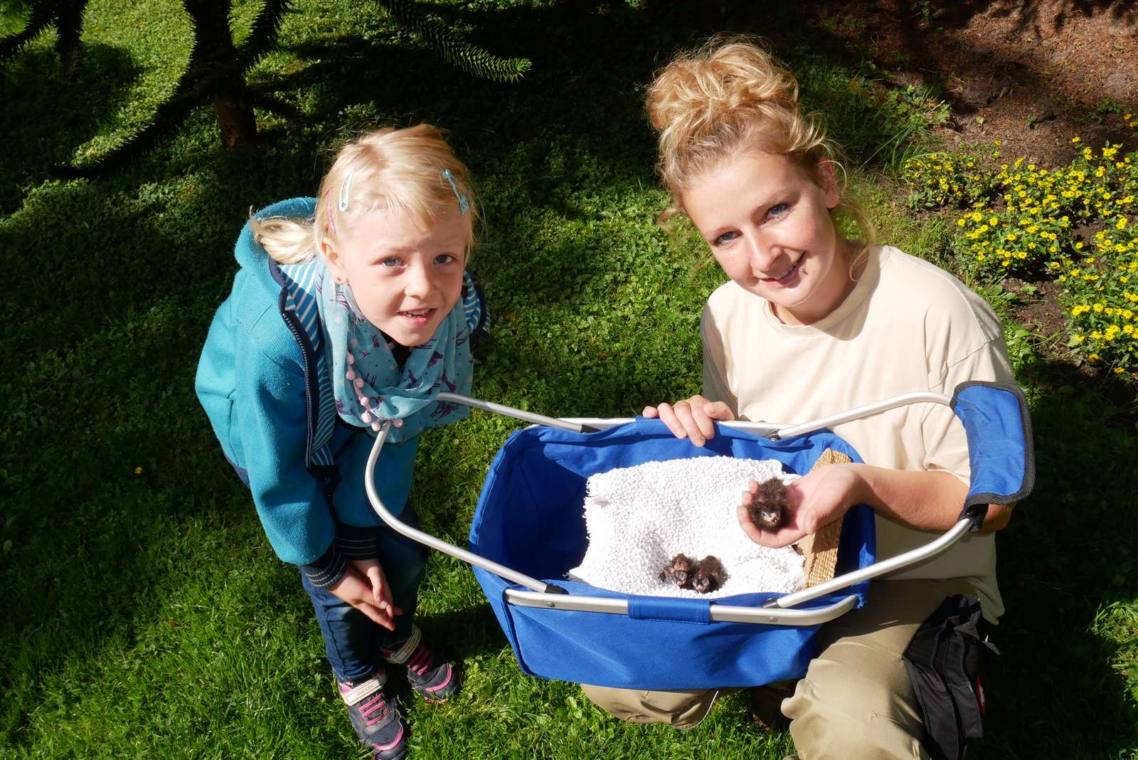 Kükenglück im Einkaufskorb - Kristine Böhm (rechts) zeigt Besucherin Emma die Turako-Küken.

Foto: C. Jenkner-Kruel - Drei Turako-Küken werden im Vogelpark Heiligenkirchen mit der Hand
aufgezogen. Die Eltern der afrikanischen Vögel hatten die Jungtiere nicht
angenommen.
