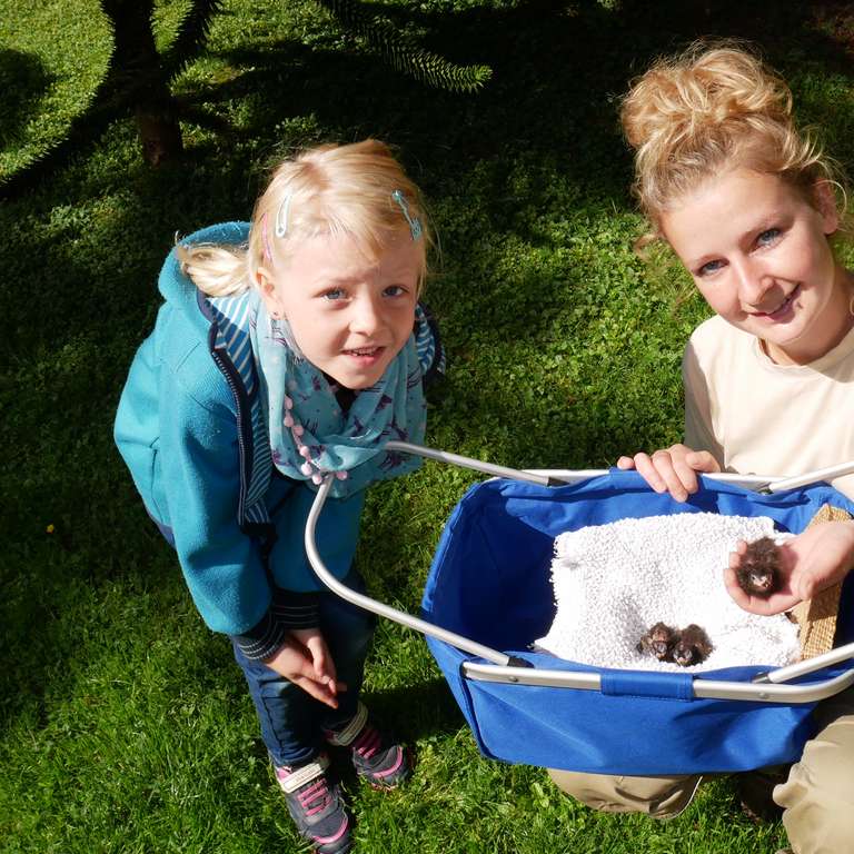 Kükenglück im Einkaufskorb - Kristine Böhm (rechts) zeigt Besucherin Emma die Turako-Küken.

Foto: C. Jenkner-Kruel - Drei Turako-Küken werden im Vogelpark Heiligenkirchen mit der Hand
aufgezogen. Die Eltern der afrikanischen Vögel hatten die Jungtiere nicht
angenommen.
