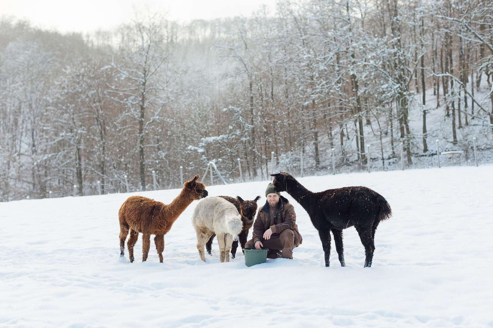 Der Vogelpark im Schnee