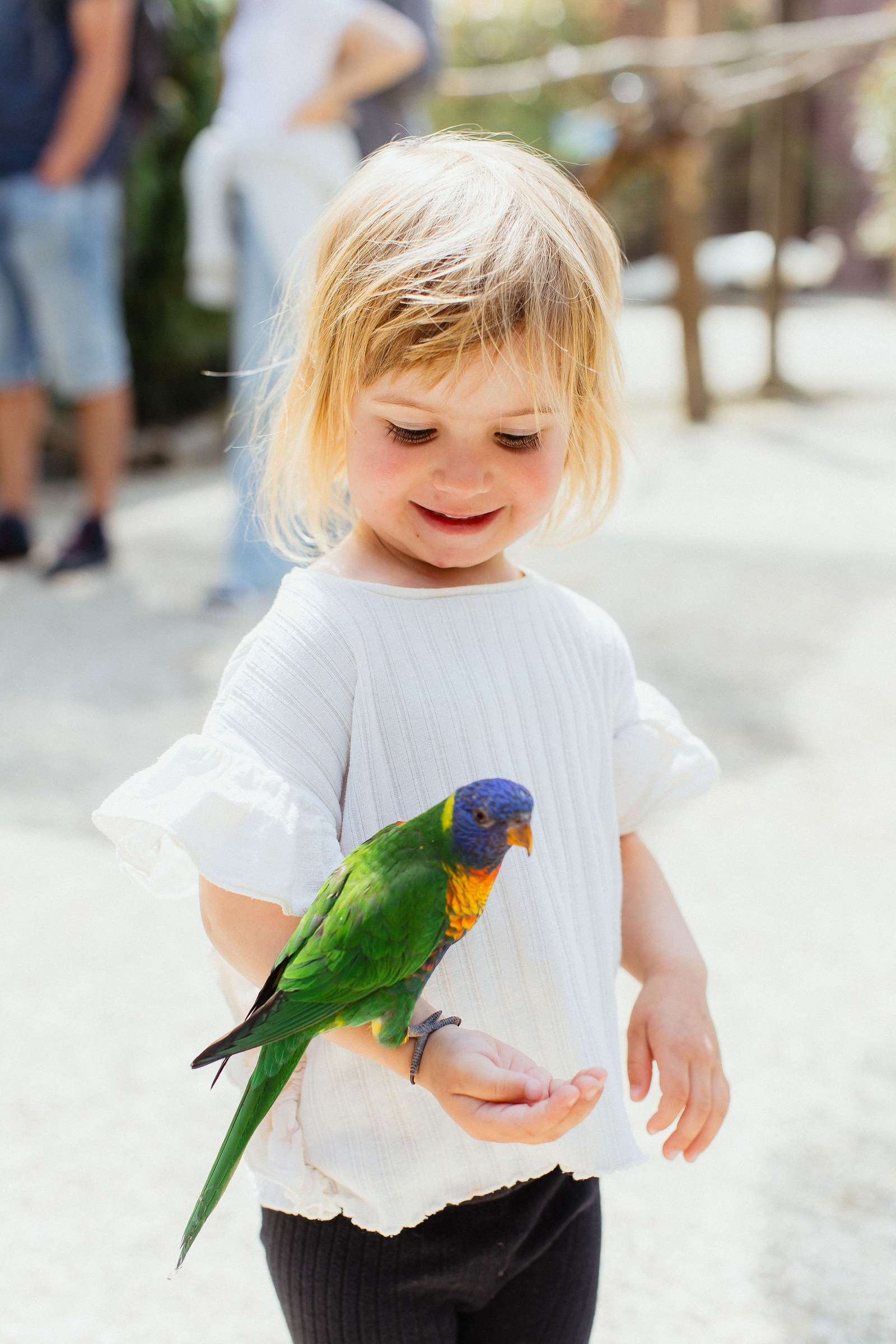 Saisonstart am 28.2.2026! - Foto: Vanessa Will - Wir starten in die Saison 