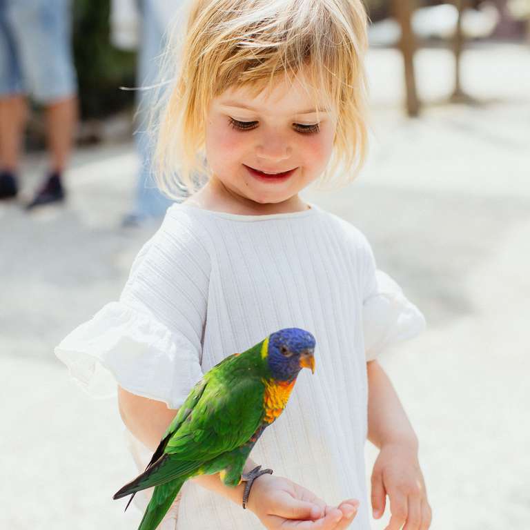 Saisonstart am 28.2.2026! - Foto: Vanessa Will - Wir starten in die Saison 