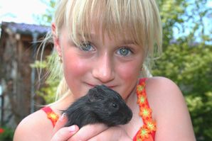 Die kleine Tabea mit einem wenige Tage alten Wildmeerschweinchen