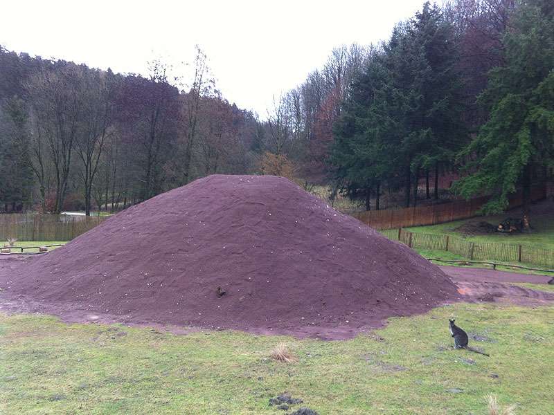 Neue Heimat für die Kängurus! - Der Hügel zum Wohlfühlen ist da.