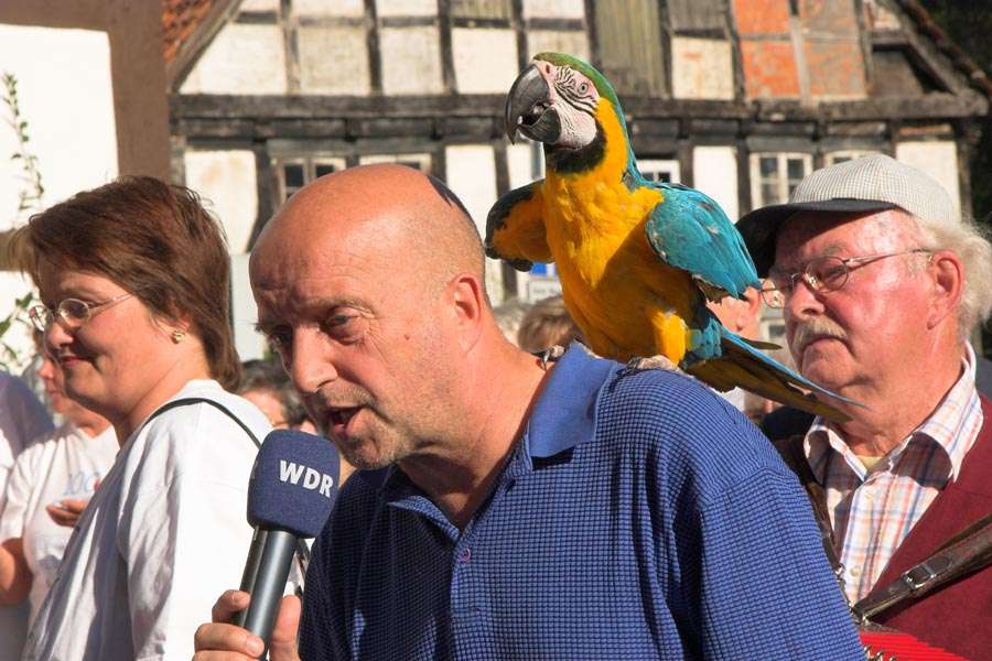 WDR im Vogelpark Heiligenkirchen - Der WDR Reporter Olaf Lübcke mit dem Ara Kiki - Am 22.09. war ein Team des WDR im Vogelpark Heiligenkirchen. 

Im Rahmen der beliebten Sendung "Lokalzeit" besucht der WDR jeden Freitag um 10 Uhr früh unter dem Motto "Dorfplatz Schlag 10" ein Dorf in Nordrhein-Westfalen, welches erst am Vortag ausgelost wird.