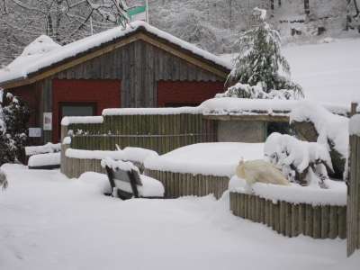 Winter im Vogelpark Heiligenkirchen - Wir beginnen die Saison 2010 am 20 März.