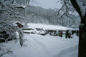 Winterruhe im Vogelpark