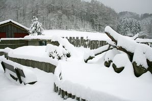 Präriehundgehege im Schnee